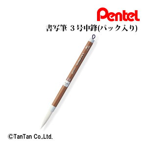 ʕM O ؂Ă Pentel M w 发p wZʗp K   [ XFL1-3yKzy2302zyCz