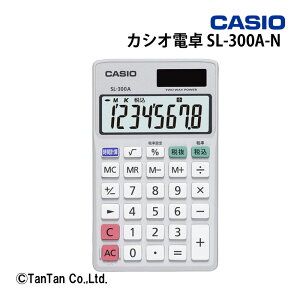 d ItBX@ JVIvZ@ ^y 蒠^Cv 10 CASIO JVI sl-300a-nyGzy46z