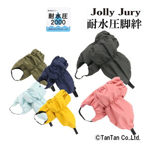 Xm[Jo[ rJ ͂ Jo[ n qp LbY j̎q ̎q ͂ ϐ2000 V 悯 XL[ Vv Jolly Jury W[W[yKzy2304zy46z