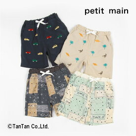 【25日限定！当店10倍＋楽天カード4倍】petit main プティマイン アソート スイムパンツ 男の子 ベビー キッズ 恐竜 車 刺繍 総柄 水着 サーフパンツ スイミング 海パン ウスベージュ ネイビー イエローグリーン チャコール 80-130cm【K】【新作】【2402】【49】