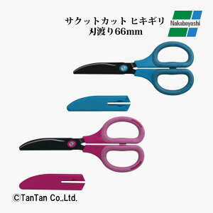 ͂ nT~ TNbgJbgqLM tbfR[g u[ sN NH-HF175B NH-HF175P iJoVyKzy2402zyCz