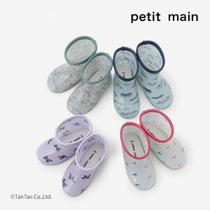 y20OFFZ[zCu[c petit main veB}C 25NtV n[g {   LbY q ̎q j̎q S4F 14-19cmyGzy2501zy55z