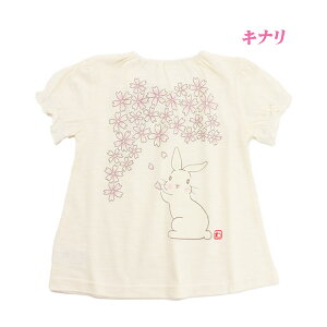 y20OFFZ[zy[֑zTVc a xr[ ̎q gbvX   Li sN 80-95cmyKzy2502zy58z