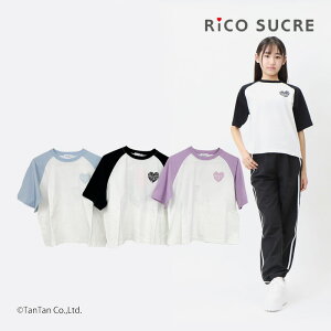 �y10��OFF�Z�[���z����T�V���c �V���[�g�� �n�[�g���S���O����T ���̎q �L�b�Y �W���j�A �g�b�v�X �T�b�N�X �u���b�N ���x���_�[ 130-165cm RiCO SUCRE ���R�V���N���yK�z�y2502�z�y59�z�yC�z