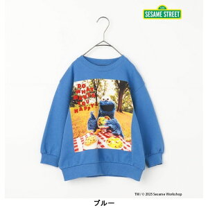 y10OFFZ[zZT~Xg[g g[i[ 80-140cm LbY q j̎q ̎q p.premier v~GyKzyVzy2503zy65z