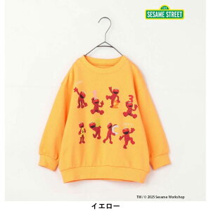 y10OFFZ[zZT~Xg[g g[i[ 80-140cm LbY q j̎q ̎q p.premier v~GyKzyVzy2503zy65z