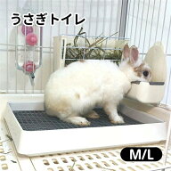うさぎ トイレ 大きい スノコ 飼育ケージに内装 四角形 メッシュスノコ付き チンチラ ウサギ フラットト…