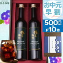 ＼ お中元 早割 500円OFF&エントリーでP10倍／【最高級 コーヒーギフト 楽天限定 】 選べる アイスコーヒー 2本セット…