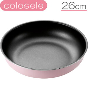 qVE RZ tCp26cm CSF-26 iIHΉEdΉEEnhptCpE肪^CvpEHIROSHOEcoloselej