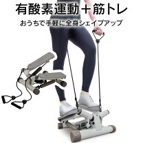 楽天市場】鉄人倶楽部 ミニツイストステッパーの通販