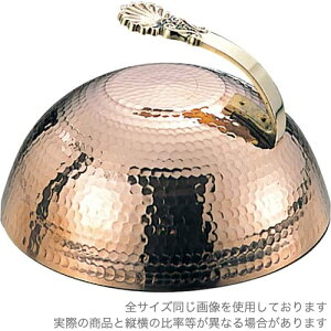 ]   Xe[LJo[  2042100 iEBMESĂEƖpj