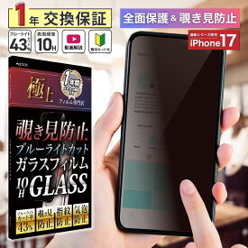 覗き見防止 iPhone17 17 Pro Max 17Airガラスフィルム ブルーライトカット iphone 16 15 13 Pro mini 保護フィルム フィルム 強化ガラス左右からの覗き見防止 正面からはクリア 防犯 液晶保護フィルム 10H 極上【365日保証】