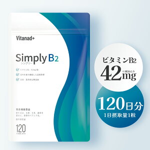 �r�^�~��B2 �i1��42mg�^120�����j vitamin b2 �T�v�������g ���� �^�u���b�g ���Y ���{�� Vitanad+�i�r�^�i�b�h�j