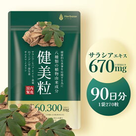 サラシア サプリ 60300mg高濃度 90日分 糖質制限 ダイエット 日本製 Herbase（ハーベース）健美粒