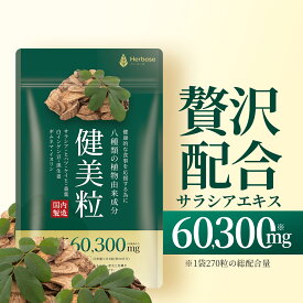 サラシア サプリ 60300mg高濃度 90日分 糖質制限 ダイエット 日本製 Herbase（ハーベース）健美粒