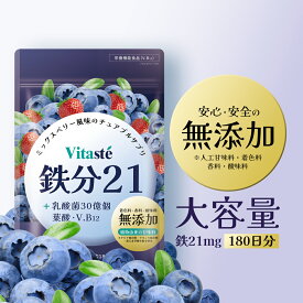 鉄分 サプリ (180日分／鉄1日21mg) 鉄 チュアブル ブルーベリー風味 無添加 葉酸 国産 鉄分補給 鉄分不足 鉄剤 Vitaste（ビタステ）