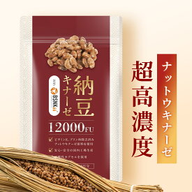 ナットウキナーゼ 12000FU/日（1日1粒）30日分 サプリ 納豆キナーゼ nattokinase 耐酸性カプセル 国産 日本製 Herbase（ハーベース）