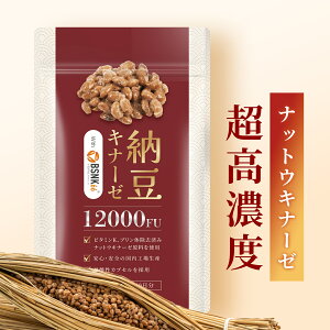�i�b�g�E�L�i�[�[ 12000FU/���i1��1���j30���� �T�v�� �[���L�i�[�[ nattokinase �ώ_���J�v�Z�� ���Y ���{�� Herbase�i�n�[�x�[�X�j