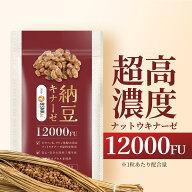 ナットウキナーゼ 12000FU/日（1日1粒）30日分 サプリ 納豆キナーゼ nattokinase 耐酸性カプセル 国産 日…