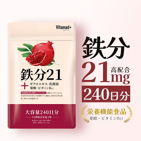鉄分 21mg (240日分) 鉄サプリ 葉酸 鉄分不足 持続型 錠剤 日本製 Vitanad+（ビタナッド）