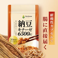 ナットウキナーゼ 6500FU/日 (30日分) サプリ 納豆キナーゼ Herbase（ハーベース）