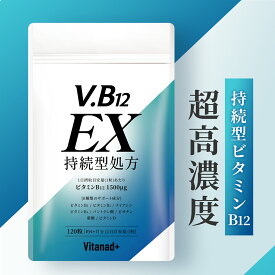 ビタミンB12 EX (1粒にビタミンB12 1500μg超高濃度) 持続型 120日分 vitamin b12 Vitanad+（ビタナッド）