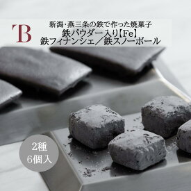 ギフト 新潟・燕三条の鉄使用！焼菓子詰合せ 「Fe」（S）2種【6個入】お取り寄せ 焼菓子 スイーツ お菓子　洋菓子 焼菓子セット 新潟 お土産 プチギフト お祝い 結婚 内祝い 個包装　贈り物 贈答品　紙袋付 熨斗対応 プレゼント 誕生日 記念日 ホワイトデー ギフト