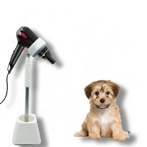 hC[X^h  L ybgp ybgpi hC[ Œ nYt[ 莩R