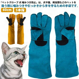 ݂h~ h~  ybgO[u ݂h~ v L  Ɨp  O[u ybg 60cm  |  Z[teBO[u ݂  L ybg 5{w  K[fj