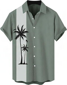 ʋCVc vg AnVc Y J݃Vc  ԕVc nC y  ʋC z y r[`Vc N  ʊw i   JWA