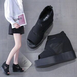  I[vgDu[c T}[u[c u[cT_ fB[X T_ nCq[ Cq[ 9.5cm EFbW\[ bV  ʋC Ȃ V[gu[c obNW