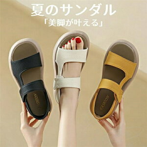  X|[cT_ fB[X T_ bV y ʋC r EH[LOV[Y wlC Vv JWA ubN zCg 22.5cm-25.0cm