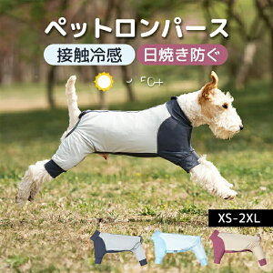 ̃pW} p[X Ȃ tēKp ybg 4{ ڐG⊴ UPF 50+ Ăh ʋC _炩  킢 hbOEGA TVc  ^ ^ m [EFA