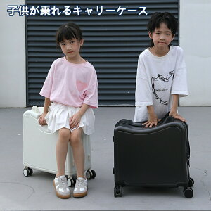 X[cP[X 20C` qL[P[X X[cP[X qp _CbN _uLX^[ŐÉ Sf e qpX[cP[X 45*23*47cm s A Ƃ