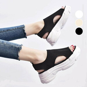 T_  X|[cT_ T{T_ ~ bV ʋC ؍ Y fB[X JWA