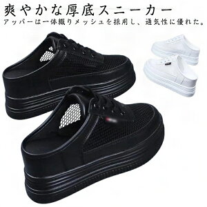 bVXj[J[ fB[X ƂȂXj[J[ ʋC  T_ T{T_ Xj[J[ bV [Jbg [t@[ ƂȂV[Y Xb| ʋC y  