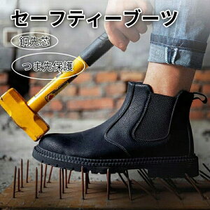 SC nCJbg ƌC |c ܐی Z[teB[u[c Ru[c [Nu[c C_[u[c GWjAu[c C_[ ϊ ϖ ʋC ~ jp 23.0cm-29.0cm