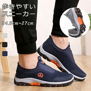 yԌ3660~2460~zXj[J[ Y Xb| X|[cV[Y bV jOV[Y EH[LO  ɂ JWA  y Y JWAV[