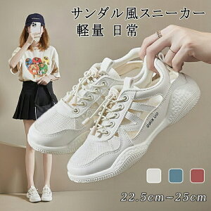 yԌ4160~2960~zXj[J[ T_ fB[X X|[cT_ y X|T bV [XAbv Xj[J[T_ fB[X JWAV[Y V[Y  