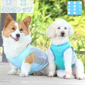  ^Ngbv ĕ K  u₩ Ђ ObY  ybg N[xXgiS`11XLTCYWJj y^~^z  p n^Ngbv bV ڐG⊴ Ђ N[