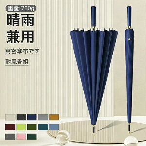 P Jp P PJo[t ^b` Ռ ՔM ϋ 24{ gѐ 傫 O΍ MǑ΍  v[g  ՔM Ռ ЂP  Y  R