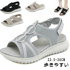 ₷ X|[cT_ fB[X 傫TCY bV  ItBX EH[LO ɂ I[vgD  ʋC y  Ȃ  O X|[cT_ fB