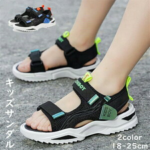 Ȑ qǂ r[`T_ qp V[Y qp}XN ʋC yď_炩\ ~ AEghA WjA LbY 傫TCY fB[X Y 