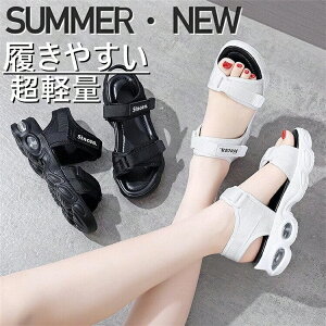 gUP   T_ fB[X K[Y jo[T T_ fB[X ̎q V[YC  p X|[cT_ xNT_ r r[`T_ AEghA q