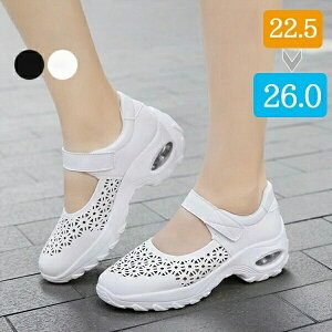 X|[cT_ Xj[J[  fB[X xN RtH[g ₷ y r X|T T_ ʋC C JWA   zCg ʋ ɂ 22.5 23.0 23