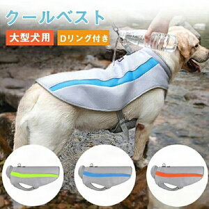 ^p U MǑ΍ ⊴xXg ^ U MǑ΍ObY UObY  UJ[g o AEghA ȒPE DOt bV ʋC  ЂxXg