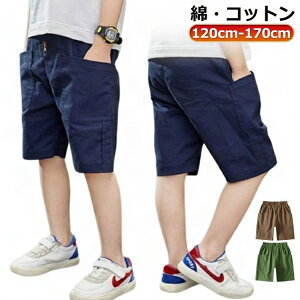 n[tpc q w v[g G qǂ |Pbg Y{ EGXgS 110 LbY oR q lCr[ WjA V[gpc ʋC z 160 V J[L O[ R