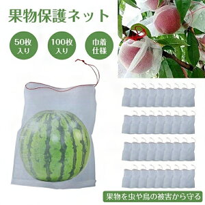 50Zb В ʋC h 悯   lbg h bVobO Q ʎ ʎh ʕیobO