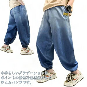 W[Y {gX fjpc ڐG⊴ Y{ Ђ W[p Of[V Opc q JWA EGXgS qǂp WjA i  LbY 160 j̎q 