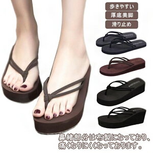 yyV1ʁzfB[X r[`T_  r W[p Sn gOT_ q[ C ɂȂ ₷ r[T  ^Ep p 傫TCY 킢  y